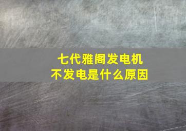 七代雅阁发电机不发电是什么原因