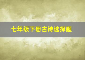 七年级下册古诗选择题