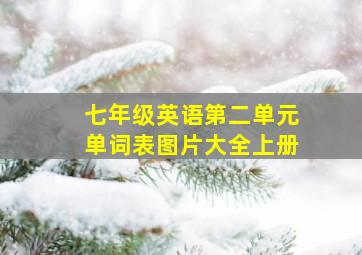 七年级英语第二单元单词表图片大全上册