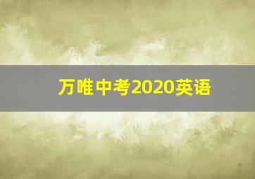 万唯中考2020英语