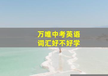 万唯中考英语词汇好不好学