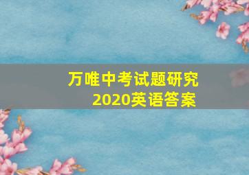 万唯中考试题研究2020英语答案