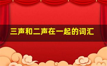 三声和二声在一起的词汇