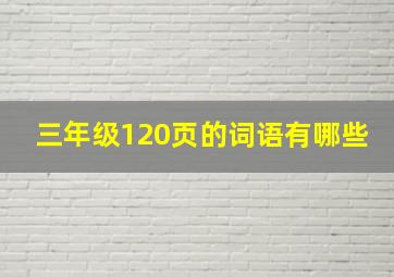 三年级120页的词语有哪些