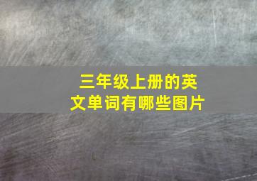 三年级上册的英文单词有哪些图片