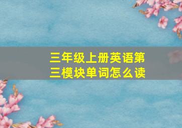 三年级上册英语第三模块单词怎么读