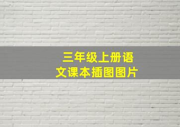 三年级上册语文课本插图图片