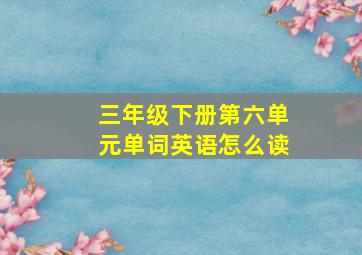 三年级下册第六单元单词英语怎么读