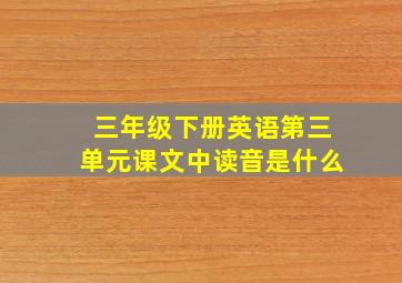 三年级下册英语第三单元课文中读音是什么