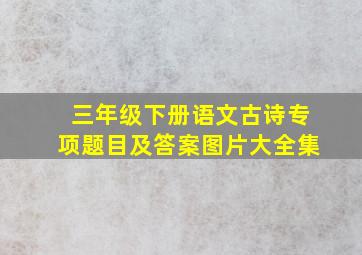 三年级下册语文古诗专项题目及答案图片大全集