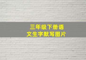 三年级下册语文生字默写图片