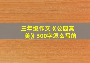 三年级作文《公园真美》300字怎么写的