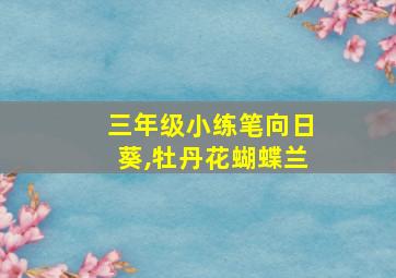 三年级小练笔向日葵,牡丹花蝴蝶兰