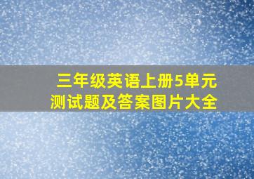 三年级英语上册5单元测试题及答案图片大全