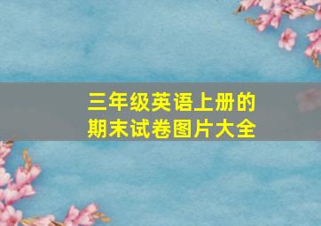 三年级英语上册的期末试卷图片大全