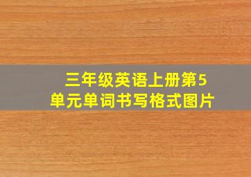 三年级英语上册第5单元单词书写格式图片