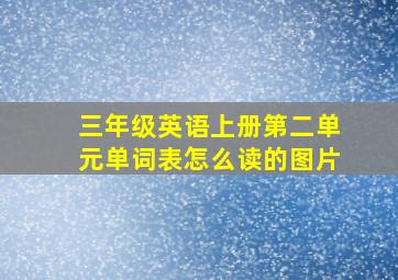 三年级英语上册第二单元单词表怎么读的图片