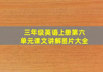 三年级英语上册第六单元课文讲解图片大全