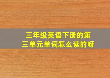 三年级英语下册的第三单元单词怎么读的呀