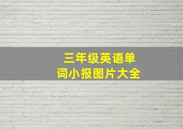 三年级英语单词小报图片大全