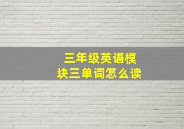 三年级英语模块三单词怎么读