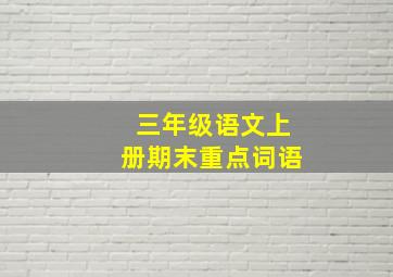 三年级语文上册期末重点词语