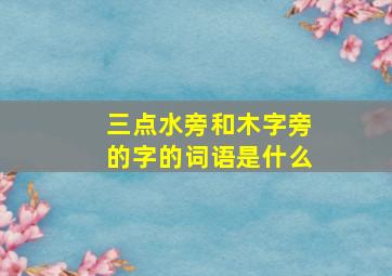 三点水旁和木字旁的字的词语是什么