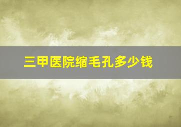 三甲医院缩毛孔多少钱