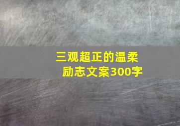 三观超正的温柔励志文案300字