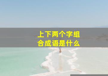 上下两个字组合成语是什么