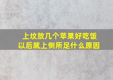 上坟放几个苹果好吃饭以后就上侧所足什么原因