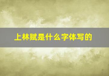 上林赋是什么字体写的