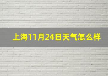 上海11月24日天气怎么样