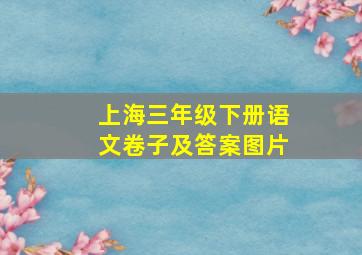 上海三年级下册语文卷子及答案图片