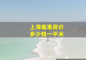 上海临港房价多少钱一平米