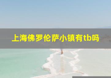 上海佛罗伦萨小镇有tb吗