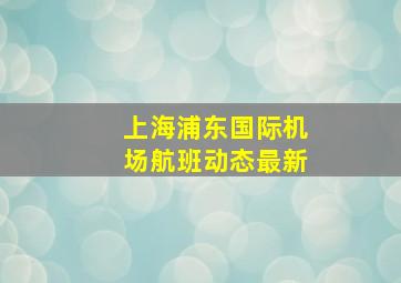 上海浦东国际机场航班动态最新