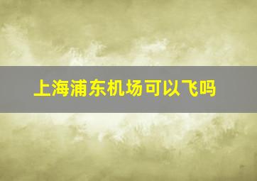 上海浦东机场可以飞吗