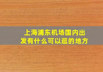 上海浦东机场国内出发有什么可以逛的地方