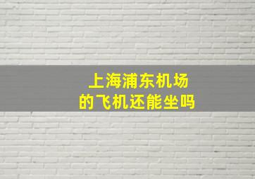 上海浦东机场的飞机还能坐吗