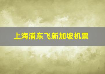 上海浦东飞新加坡机票