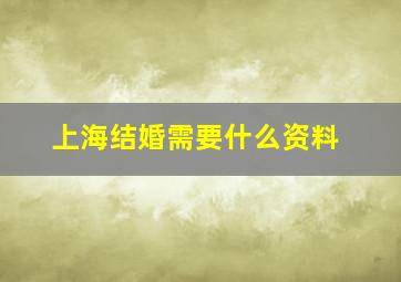 上海结婚需要什么资料