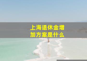 上海退休金增加方案是什么