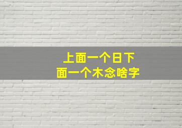 上面一个日下面一个木念啥字