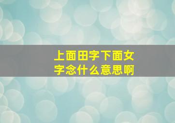 上面田字下面女字念什么意思啊