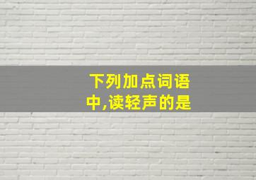 下列加点词语中,读轻声的是