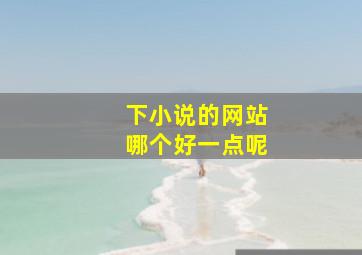 下小说的网站哪个好一点呢