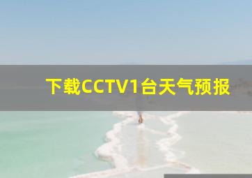 下载CCTV1台天气预报