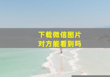 下载微信图片对方能看到吗