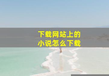 下载网站上的小说怎么下载